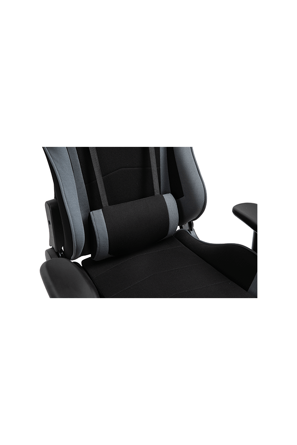  Nylon Base 2D Armrest 360-degree swivel Pro Gaming Chair