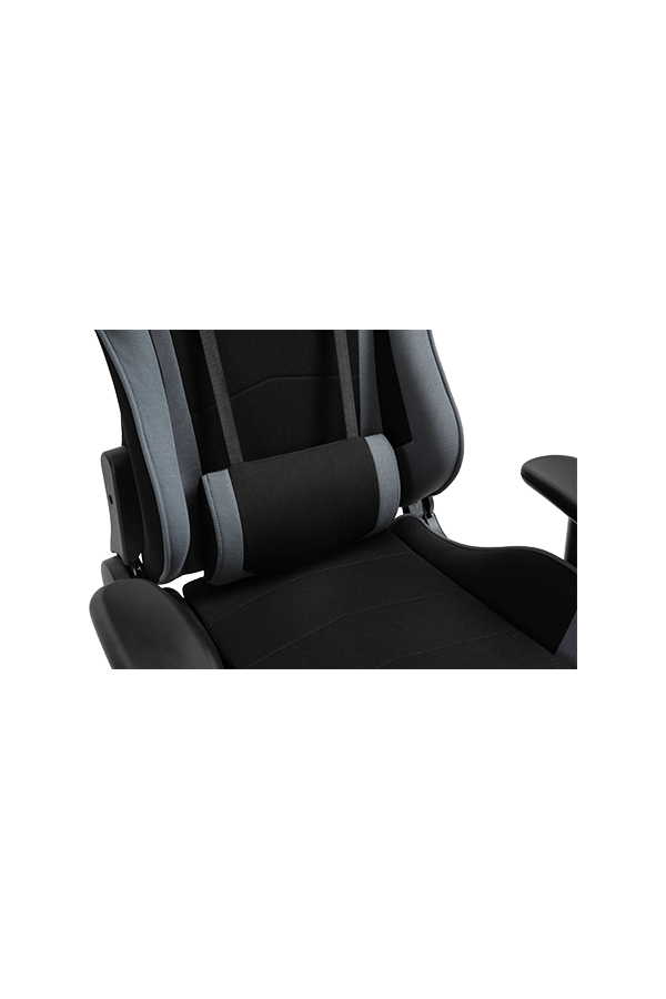  Nylon Base 2D Armrest 360-degree swivel Pro Gaming Chair